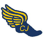 winged shoe icon